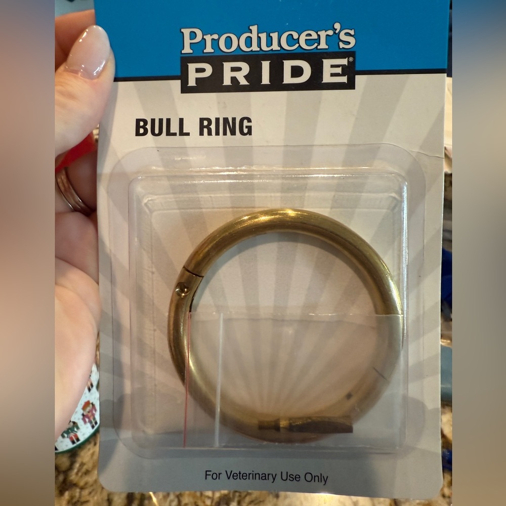 Pride Bull Ring in brass